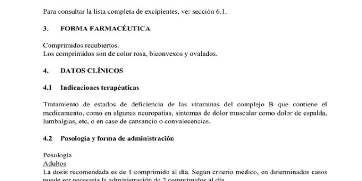 Qué es la ruda y para qué sirve: las propiedades de esta planta medicinal, sus contraindicaciones y cómo prepararla